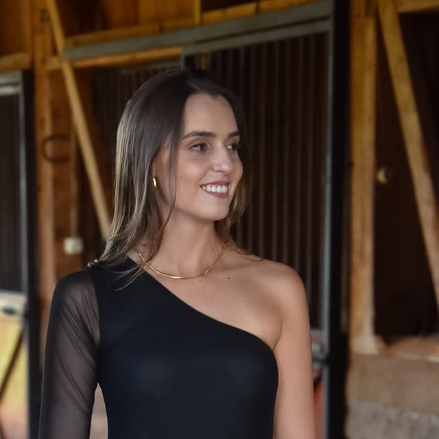 Prévia do projeto 11